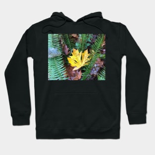 The Sweet Leaves of the Forest in Autumn Hoodie